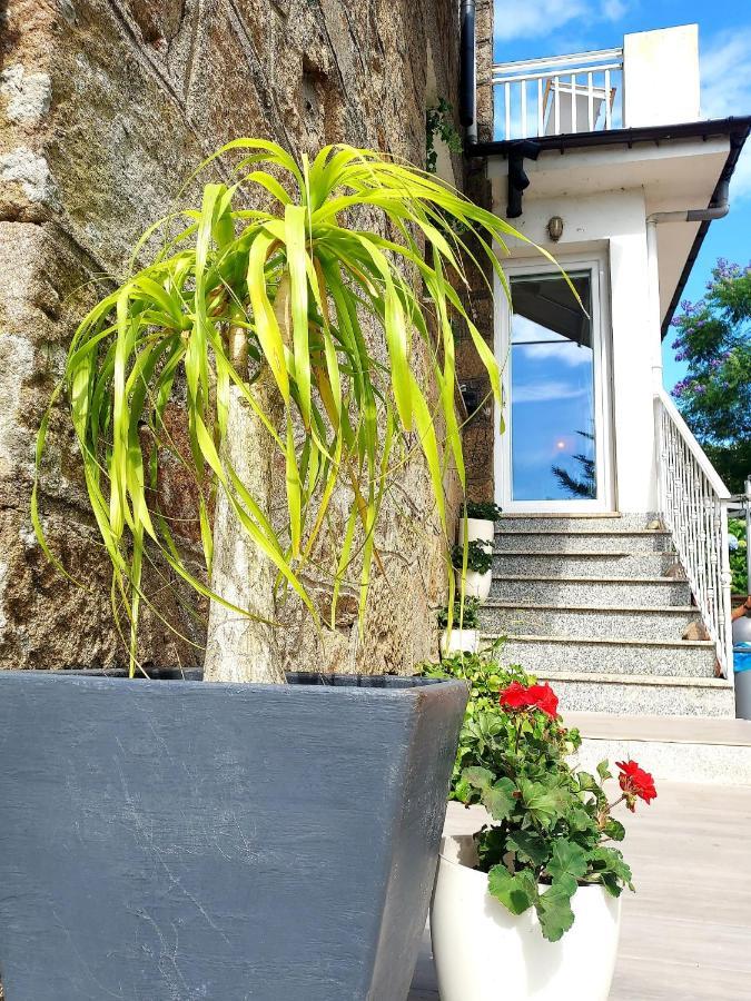 Villa Anselma, Casa Compartida 폰테베드라 외부 사진